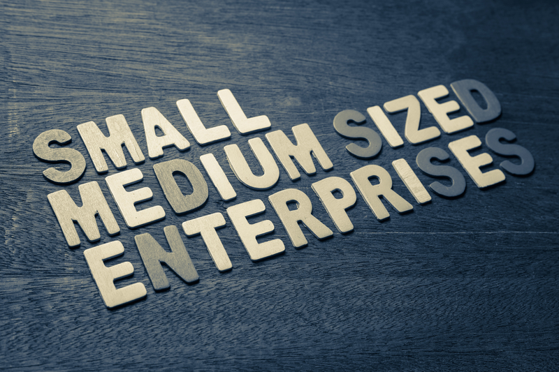 Expert Committee on Small and Medium Enterprises (SMEs)